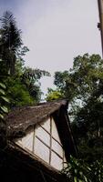 The remote Baduy village is a hidden gem, surrounded by lush greenery and dense trees. This tranquil setting offers a glimpse into a unique culture, photo