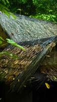 The remote Baduy village is a hidden gem, surrounded by lush greenery and dense trees. This tranquil setting offers a glimpse into a unique culture, photo