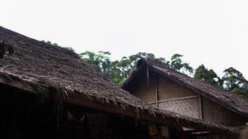 The remote Baduy village is a hidden gem, surrounded by lush greenery and dense trees. This tranquil setting offers a glimpse into a unique culture, photo