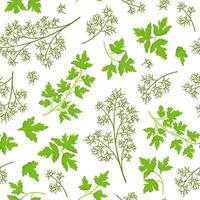 seamless pattern of parsley and dill. Fresh greenery image. Botanical illustration. vector