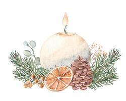 Christmas Candle Composition with Winter plants. Fir Branches, Eucalyptus, Pine Cone and dry Orange slice. Hand drawn Botanical illustration isolated on white background. First Advent. For Cards and vector