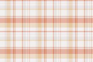 Periodic pattern texture plaid, collage textile background. Ceremony seamless check fabric tartan in white and light colors. vector