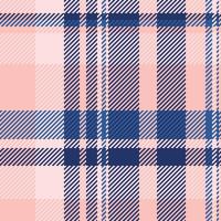 Panel plaid check pattern, ethnic seamless textile background. Dining room fabric texture tartan in blue and light colors. vector