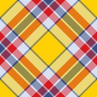 Plaid pattern . Check fabric texture. Seamless textile design for clothes, paper print. vector