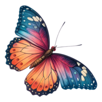 Colorful butterfly realistic isolated on transparent background file png