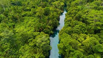 Aerial drone view of man is paddling on stand up paddleboarding in the mountain lake with pine trees forest photo