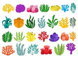 Large set with cartoon set of different types of corals and algae, underwater reef colorful on white background, illustration vector