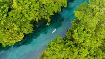 Aerial drone view of man is paddling on stand up paddleboarding in the mountain lake with pine trees forest photo