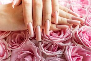 Elegant hands showcasing ombre manicured nails surrounded by fresh pink roses photo