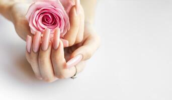 A person with long pink nails gently holding a soft pink rose against a light background photo