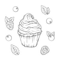 cupcakes with ingredients - berries, spices, sweets hand drawn in doodle style. vector