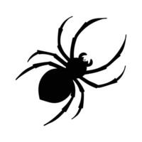 Simple Spider Silhouette Icon for Minimalist Animal Design vector