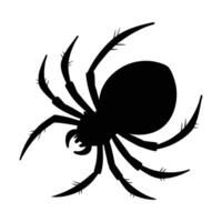 Minimalist Spider Icon Silhouette for Animal Illustrations vector