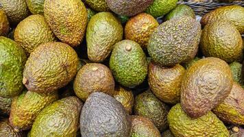Avocado on the counter. Avocado in the store. Avocado background photo