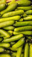 Cucumbers background. Cucumbers on store shelves. Vegetables in the store photo