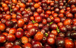 Cranberry background. Cranberries are on the shelve in store. Berries background photo