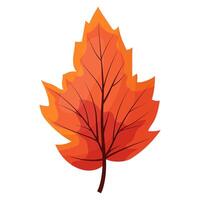 autumn colored bright leaf highlighted vector