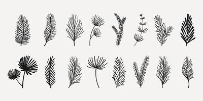 Cartoon Set of Flat Fir Tree Branches with Red Berries. Collection of spruce twigs in hand drawn cartoon style isolated on white background. vector