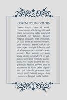 Calligraphic square ornament frame lines vector