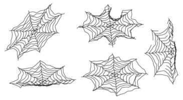 Spider web icon. Spider web design art illustration. vector