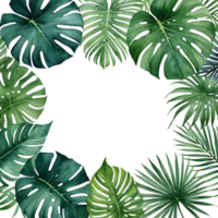 A circle of tropical leaves on a black background png
