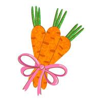Colorful Illustration of Carrot Isolated on White Background vector