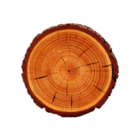 a wooden log with a circular pattern, cross section of tree stump png