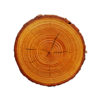 a wooden log with a circular pattern, cross section of tree stump or trunk png