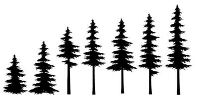 Silhouettes of Christmas trees on a white background. A row of fir trees of different heights, similar to the horizon of a snowy forest or a winter fairy tale vector