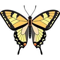 A butterfly with black and yellow wings vector