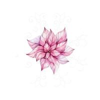 Red poinsettia flower with openwork snowflake. Christmas romantic watercolor illustration hand drawn for design, printing, greeting cards. clip art vector