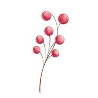 Watercolor Twig with red berries, currant berries on branch without leaves illustration, isolated. clip art vector