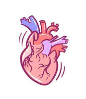 A detailed, hand-drawn illustration of a realistic anatomical heart in a doodle style. This sketch can be used as a design element for tattoos, posters, or various creative projects. vector