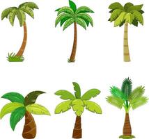 Cartoon Different Tropical Palm Tree. Hand Drawn Collection Set vector