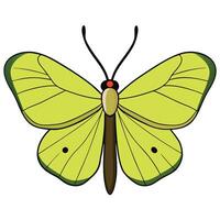 A cartoon butterfly with green wings and black eyes vector