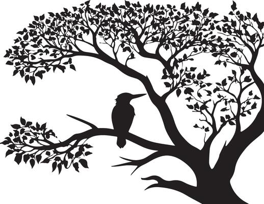 Bird on tree silhouette