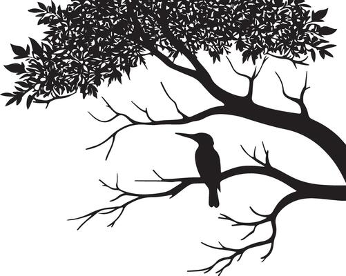 Bird on tree branch