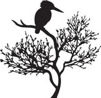 Kingfisher bird silhouette on tree branch vector