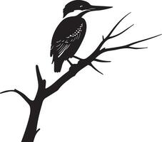 A black and white silhouette of a bird sitting on a tree branch vector