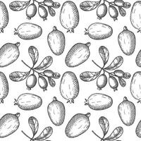 Engraved seamless pattern with Feijoa plants. Hand drawn repeating background with branch and fruits of tropical berry edible feijoa. Food, dessert. Design element for label, wrapping, card vector