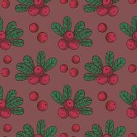 Seamless pattern with Cranberry. Repeating texture background with northern cranberry plant, berries, branch, fruits. Floral motif for design label, card, print, wrapping, paper vector