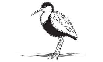 A drawing of a bird standing on a branch vector