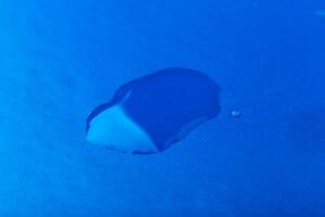 water drop on surface of fresh blue background photo