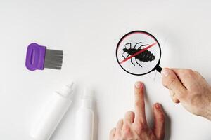 Tools for inspecting and treating lice infestations at home with a magnifying glass and a comb photo