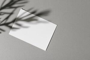 Business card on paper background with foliage shadow photo