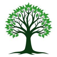 a green tree with leaves on it vector