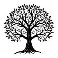 A black and white tree with leaves on it vector