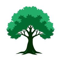A green tree with leaves on it vector