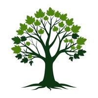 A tree with leaves on it is shown vector