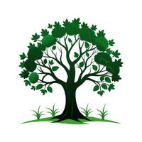 A green tree with leaves on it vector